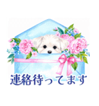 水彩感じるマルチーズスタンプ（個別スタンプ：39）