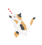 みけねこのすけ（個別スタンプ：18）