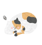 みけねこのすけ（個別スタンプ：19）