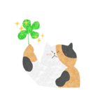 みけねこのすけ（個別スタンプ：30）