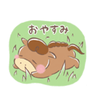 うまのさんぽ（個別スタンプ：37）