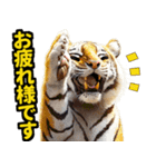 大阪神戸の野球好き虎ファン向け5とらほー（個別スタンプ：2）