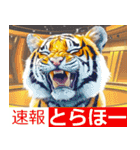 大阪神戸の野球好き虎ファン向け5とらほー（個別スタンプ：4）