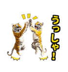 大阪神戸の野球好き虎ファン向け5とらほー（個別スタンプ：6）