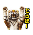 大阪神戸の野球好き虎ファン向け5とらほー（個別スタンプ：8）