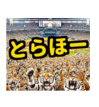 大阪神戸の野球好き虎ファン向け5とらほー（個別スタンプ：11）