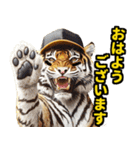 大阪神戸の野球好き虎ファン向け5とらほー（個別スタンプ：13）