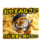 大阪神戸の野球好き虎ファン向け5とらほー（個別スタンプ：15）