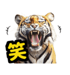 大阪神戸の野球好き虎ファン向け5とらほー（個別スタンプ：17）