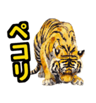 大阪神戸の野球好き虎ファン向け5とらほー（個別スタンプ：19）