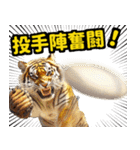 大阪神戸の野球好き虎ファン向け5とらほー（個別スタンプ：22）