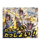 大阪神戸の野球好き虎ファン向け5とらほー（個別スタンプ：27）