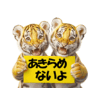 大阪神戸の野球好き虎ファン向け5とらほー（個別スタンプ：34）