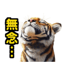 大阪神戸の野球好き虎ファン向け5とらほー（個別スタンプ：39）