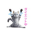 にゃんずの日常にゃん（個別スタンプ：1）
