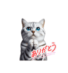 にゃんずの日常にゃん（個別スタンプ：5）