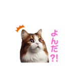 にゃんずの日常にゃん（個別スタンプ：8）