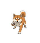 【戦う犬 1】（個別スタンプ：3）