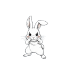 【戦うウサギ 1】（個別スタンプ：4）