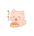 ふわふわピンクねこの毎日スタンプ（個別スタンプ：3）