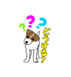 ジャックラッセルテリアハート（個別スタンプ：21）