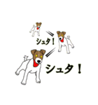 ジャックラッセルテリアハート（個別スタンプ：22）