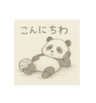 バスケパンダ(鉛筆)（個別スタンプ：2）