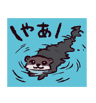 カワウソです.（個別スタンプ：1）