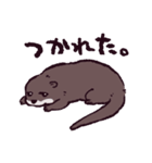 カワウソです.（個別スタンプ：15）