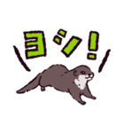 カワウソです.（個別スタンプ：17）
