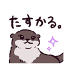 カワウソです.（個別スタンプ：23）