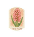 ヒヤシンスの花シリーズ:Hyacinth flowers（個別スタンプ：1）