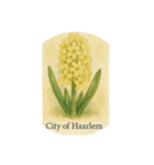 ヒヤシンスの花シリーズ:Hyacinth flowers（個別スタンプ：2）