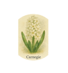 ヒヤシンスの花シリーズ:Hyacinth flowers（個別スタンプ：3）