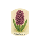 ヒヤシンスの花シリーズ:Hyacinth flowers（個別スタンプ：4）