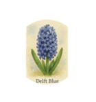 ヒヤシンスの花シリーズ:Hyacinth flowers（個別スタンプ：5）
