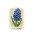 ヒヤシンスの花シリーズ:Hyacinth flowers（個別スタンプ：7）