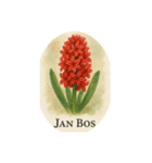 ヒヤシンスの花シリーズ:Hyacinth flowers（個別スタンプ：11）