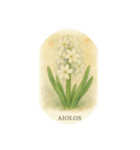 ヒヤシンスの花シリーズ:Hyacinth flowers（個別スタンプ：13）