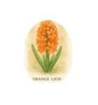 ヒヤシンスの花シリーズ:Hyacinth flowers（個別スタンプ：14）