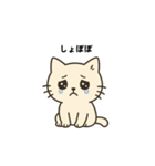 最低限ねこ（個別スタンプ：7）