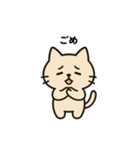 最低限ねこ（個別スタンプ：10）
