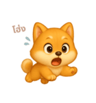 ワンだふる｜柴犬【タイ語】（個別スタンプ：12）