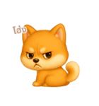 ワンだふる｜柴犬【タイ語】（個別スタンプ：13）