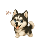 ワンだふる｜シベリアンハスキー【タイ語】（個別スタンプ：3）
