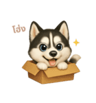 ワンだふる｜シベリアンハスキー【タイ語】（個別スタンプ：7）
