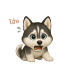 ワンだふる｜シベリアンハスキー【タイ語】（個別スタンプ：9）