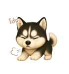ワンだふる｜シベリアンハスキー【タイ語】（個別スタンプ：12）