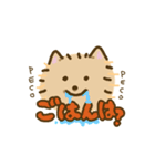 使いやすい！福丸さん（個別スタンプ：11）