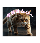 ねこスタンプ2025（個別スタンプ：3）